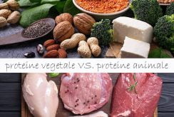 4 motive pentru care proteinele vegetale sunt mai sanatoase decat cele animale