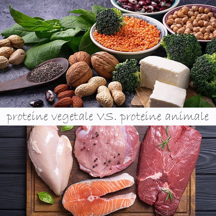 4 motive pentru care proteinele vegetale sunt mai sanatoase decat cele animale