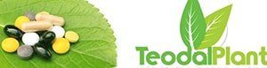 Teodal Plant